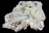 Zoned Apophyllite Crystals With Stilbite - India #72091-2